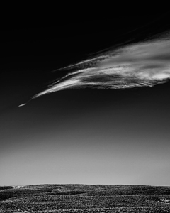 SBP_D7100_3319